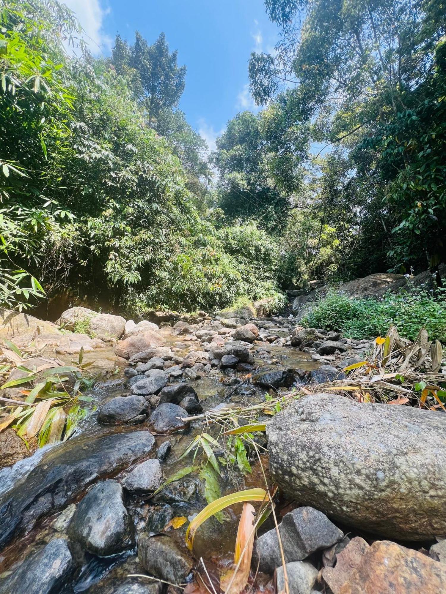 Mount Court Munnar Hotel Екстериор снимка