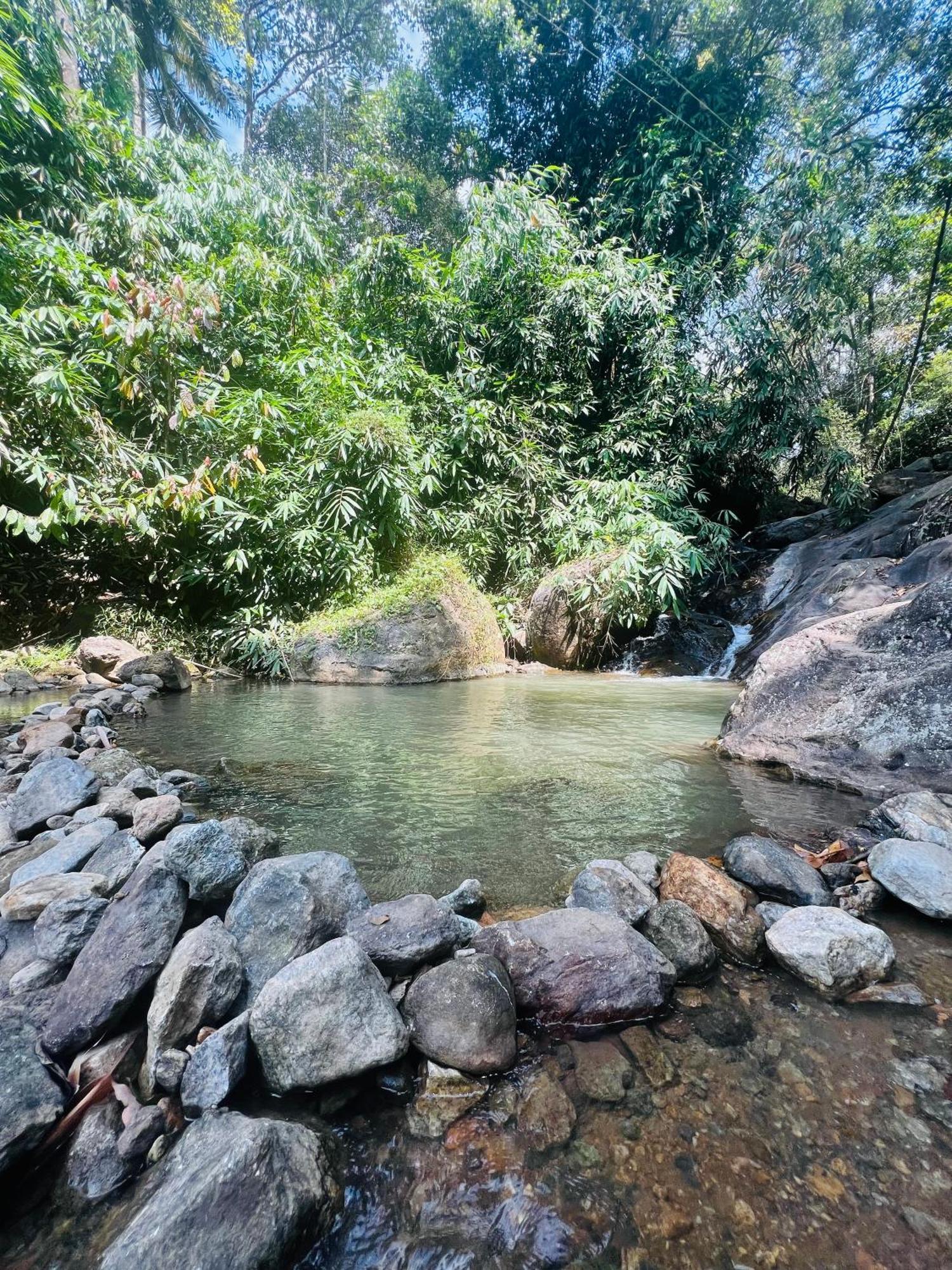 Mount Court Munnar Hotel Екстериор снимка