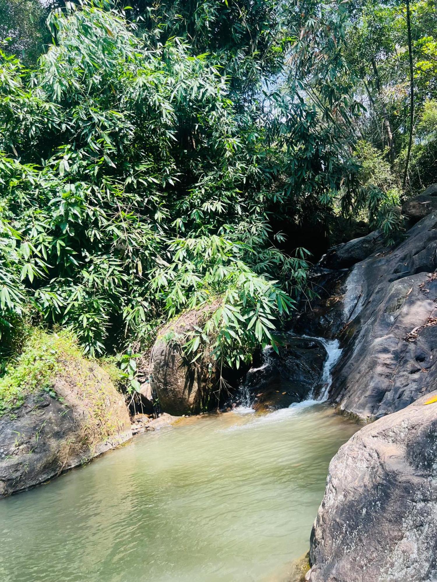 Mount Court Munnar Hotel Екстериор снимка